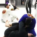 SaveClip.App_573071928_18025414895765935_4237037723267400121_n